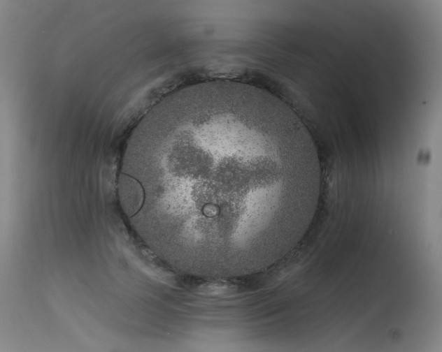 X0000115650745200911101539