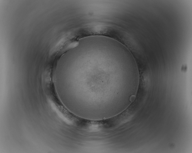 X0000115650746200911101539