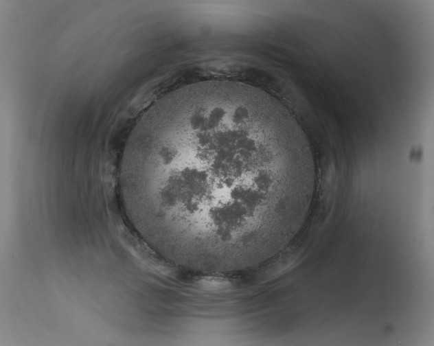 X0000115650749200911101539