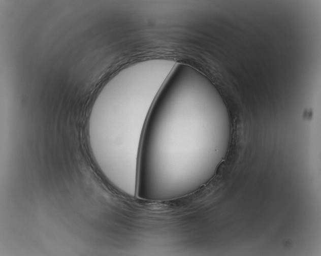 X0000115650750200911101539