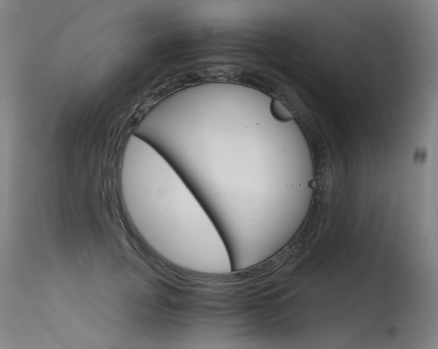 X0000115650751200911101539