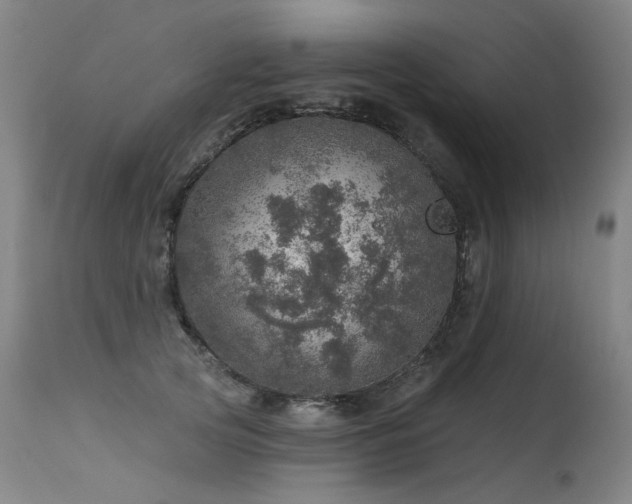 X0000115650753200911101539