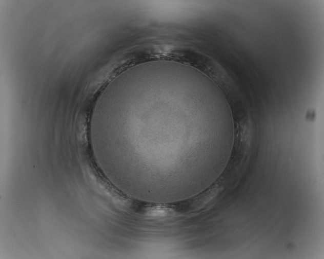 X0000115650754200911101539