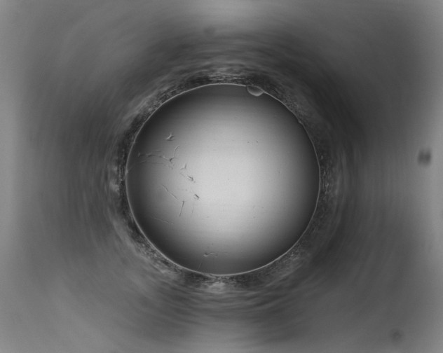 X0000115650755200911101539