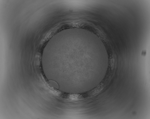 X0000115650757200911101539