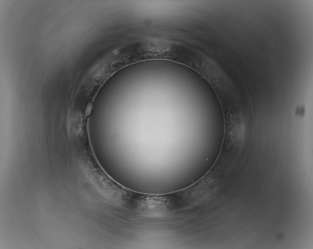 X0000115650758200911101539