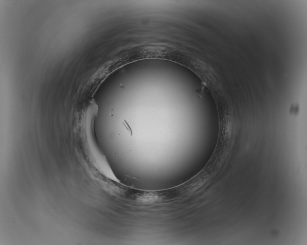 X0000115650759200911101539