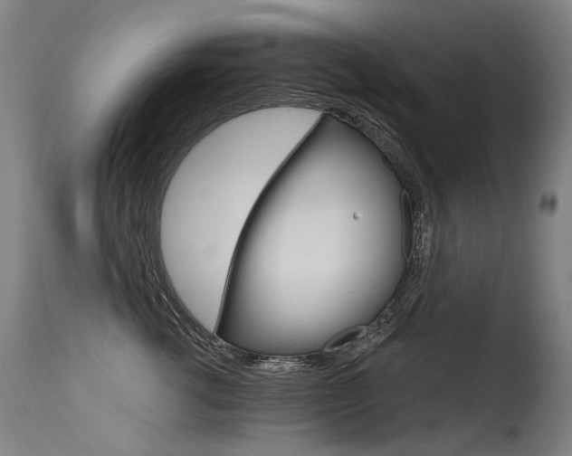 X0000115650762200911101539