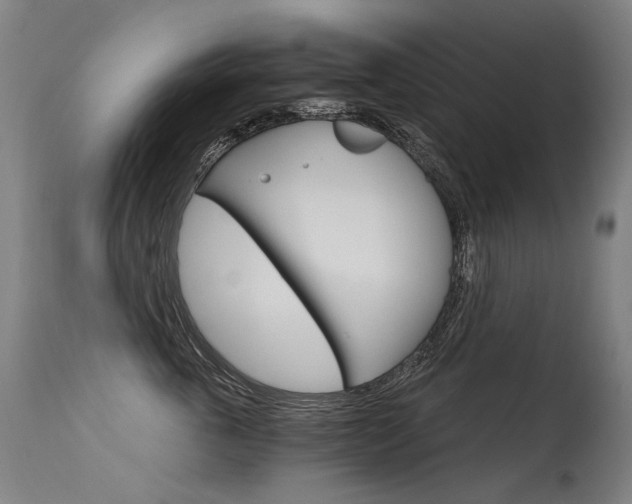 X0000115650763200911101539