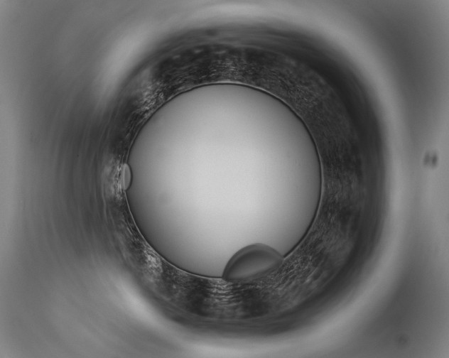 X0000115650766200911101539