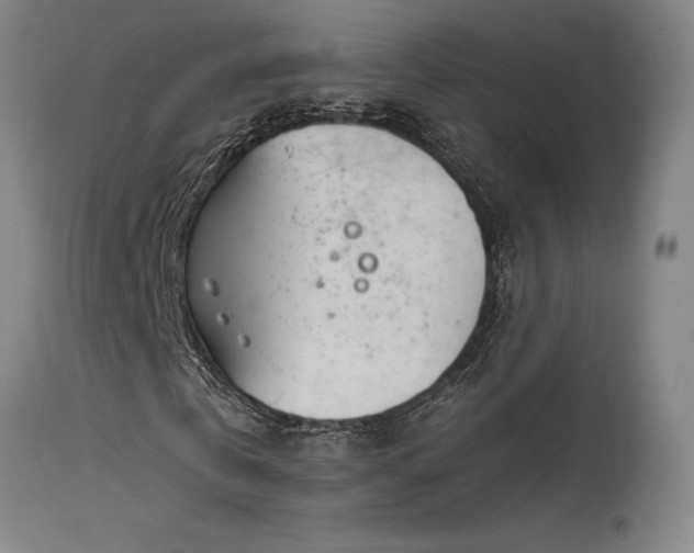 X0000115650769200911101539