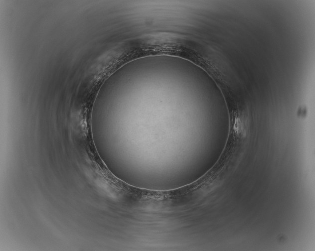 X0000115650771200911101539