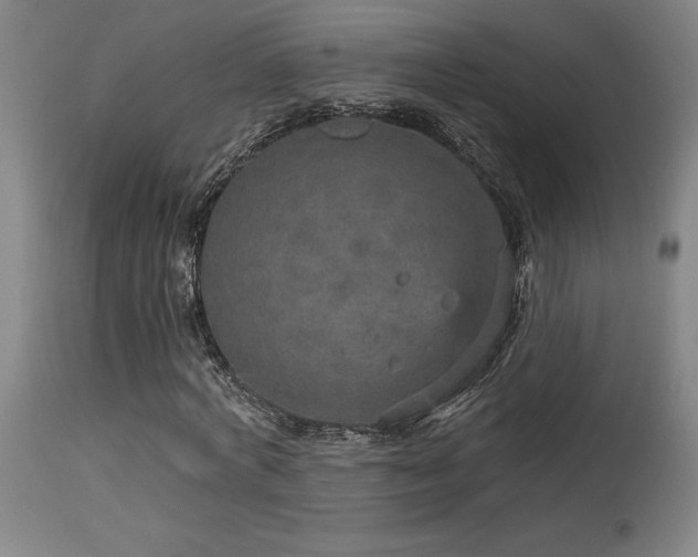 X0000115650772200911101539