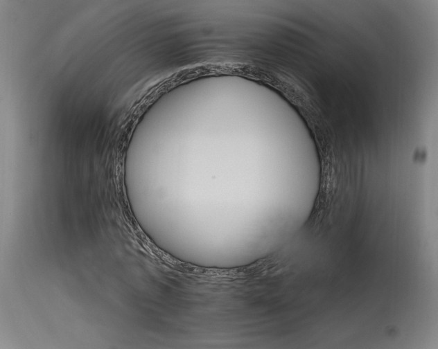 X0000115650773200911101539