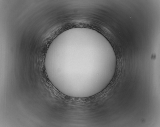 X0000115650774200911101539