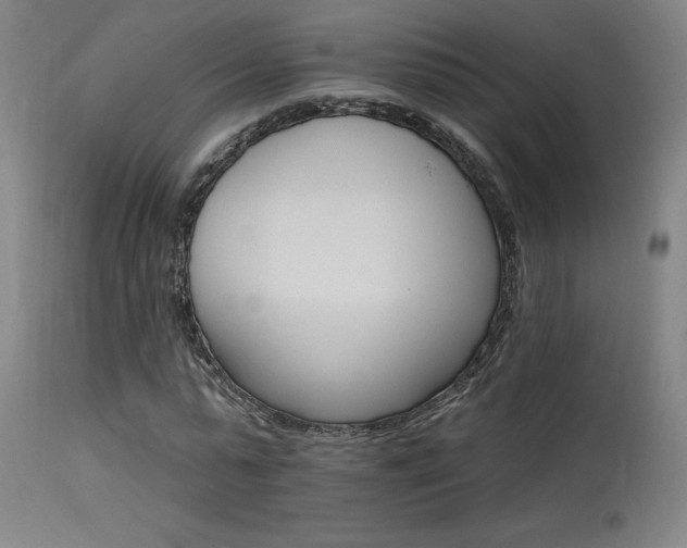 X0000115650775200911101539