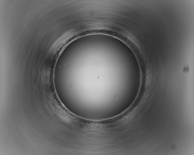 X0000115650777200911101539