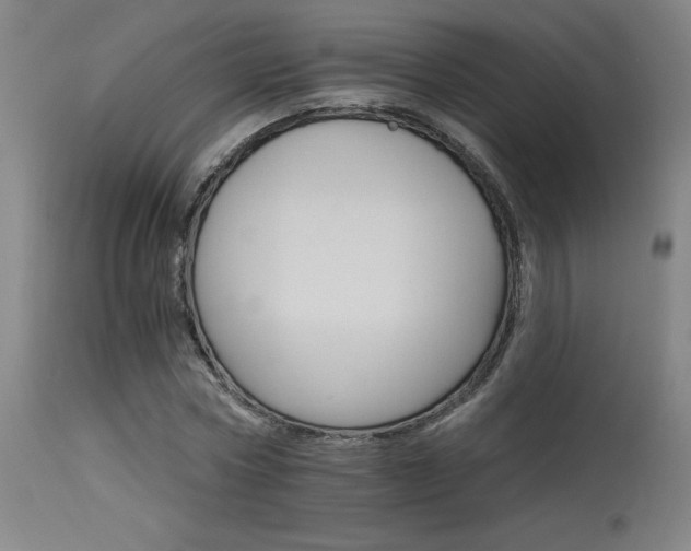 X0000115650778200911101539