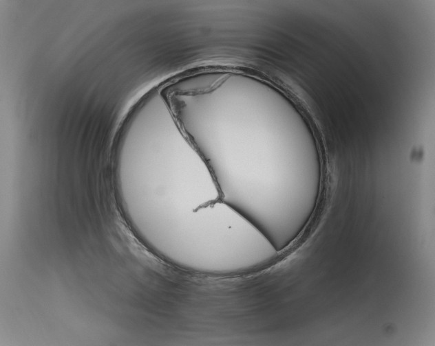 X0000115650779200911101539