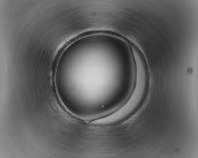X0000115650781200911101539