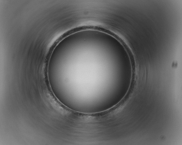 X0000115650783200911101539