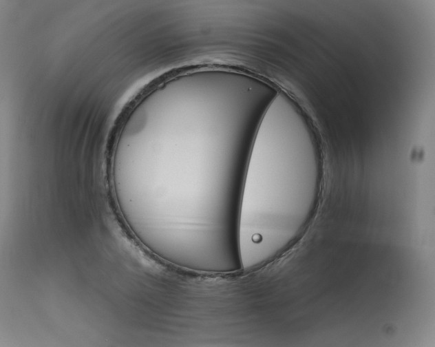 X0000115650784200911101539