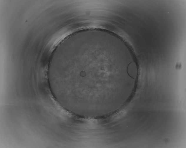 X0000115650785200911101539