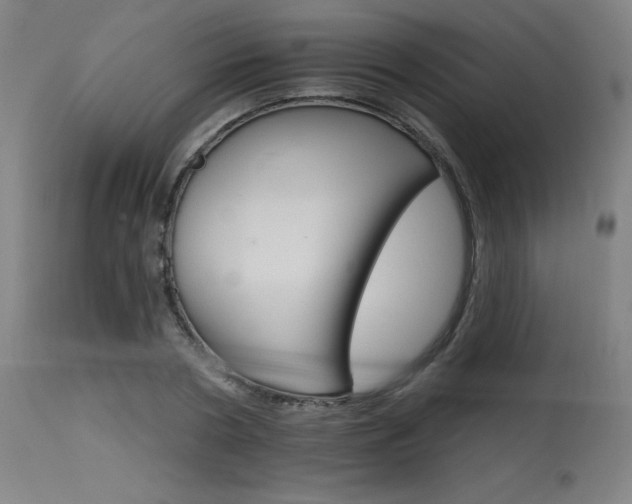 X0000115650786200911101538