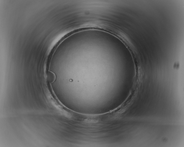 X0000115650788200911101538