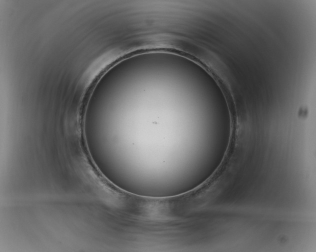 X0000115650789200911101538