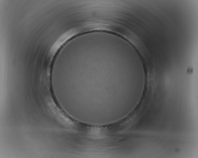 X0000115650790200911101538