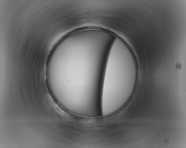 X0000115650791200911101538