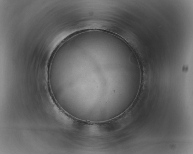 X0000115650792200911101538