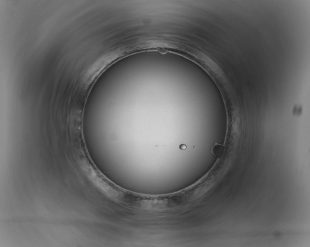 X0000115650793200911101538