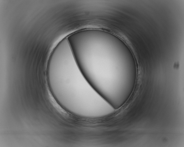X0000115650795200911101538
