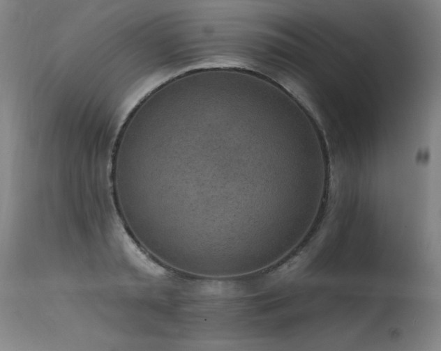 X0000115650797200911101538