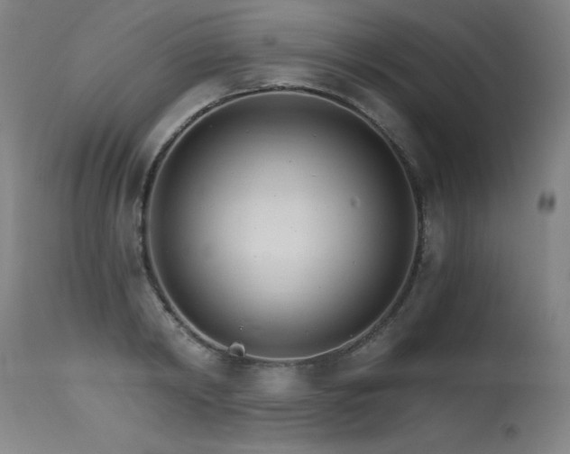 X0000115650798200911101538