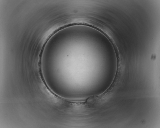 X0000115650799200911101538