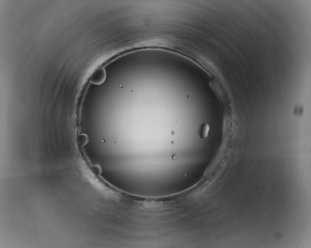X0000115650800200911101538