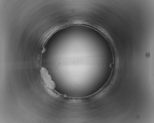 X0000115650801200911101538