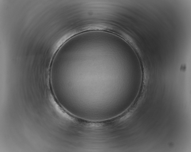 X0000115650802200911101538