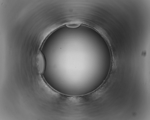 X0000115650805200911101538