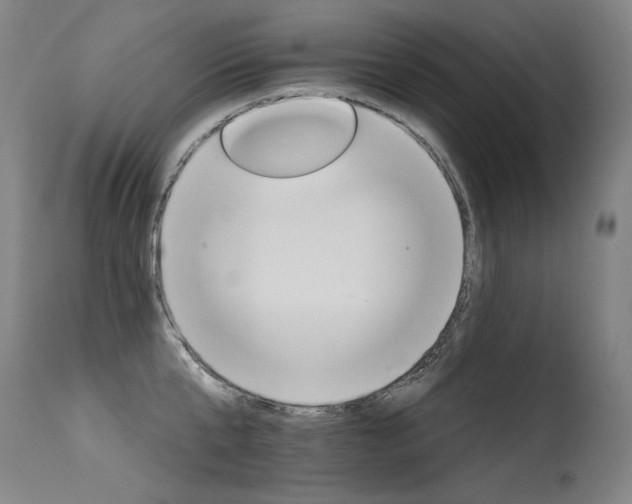 X0000115650807200911101538
