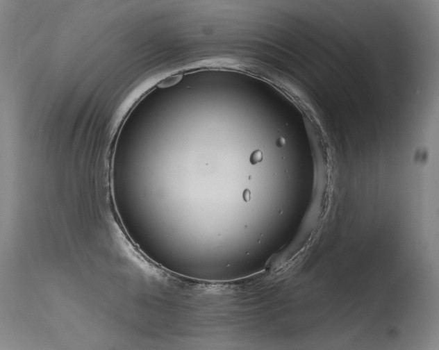 X0000115650808200911101538