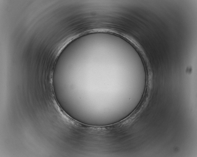 X0000115650809200911101538