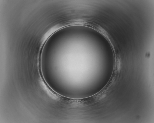 X0000115650811200911101538