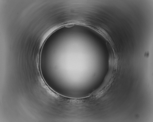 X0000115650812200911101538