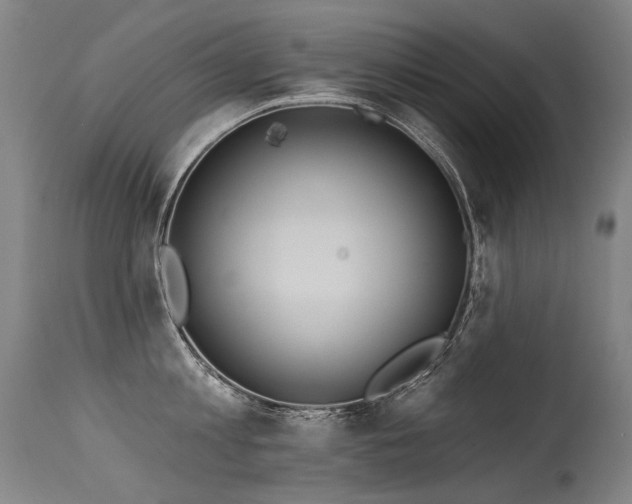 X0000115650813200911101538