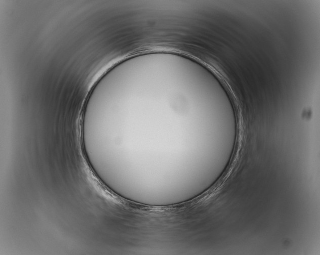 X0000115650814200911101538