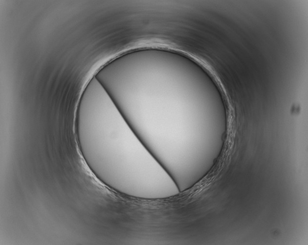 X0000115650815200911101538
